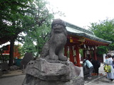 DSCF6909