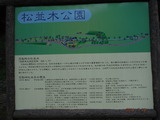 DSCF6977