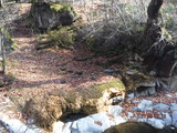 DSCF3227