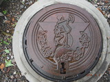 DSCF6424