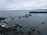DSCF9971