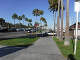 DSCF2011