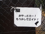 DSCF7374