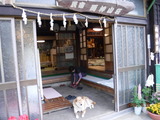 DSCF6769