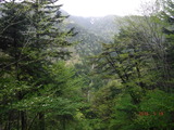 DSCF1024