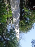 DSCF5988