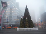 DSCF2948