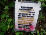 DSCF1021