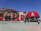 DSCF2319
