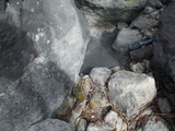 DSCF1006