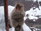 DSCF5446