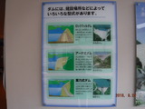 DSCF2248