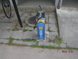 DSCF6019