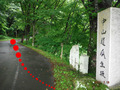 BlogPaint