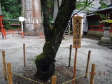DSCF7758