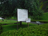 DSCF6493