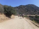 DSCF2271
