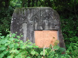 DSCF6981