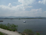 DSCF7891