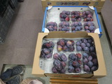 DSCF2539