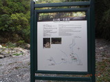 DSCF1325
