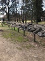IMG-3452