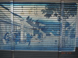DSCF5584