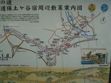 DSCF2284