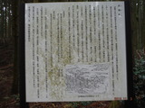 DSCF4553