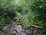 DSCF2478