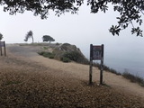 DSCF2352