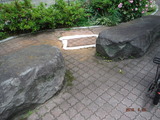 DSCF1082