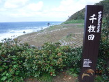 DSCF6110