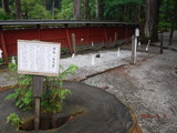DSCF7751