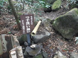 DSCF5981