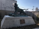 IMG-3505