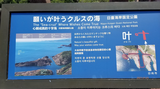 765rtgf