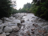 DSCF1346