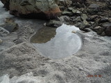 DSCF8286