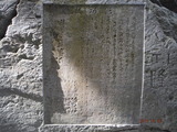 DSCF8341