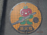 DSCF6029