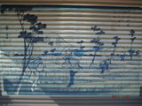 DSCF5582