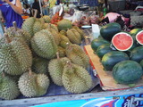 DSCF8873
