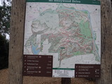 DSCF2242