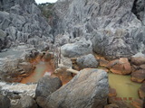 DSCF8315