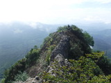 DSCF2450