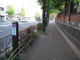 DSCF5579