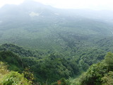 DSCF2462