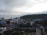 DSCF7929