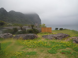 DSCF7312
